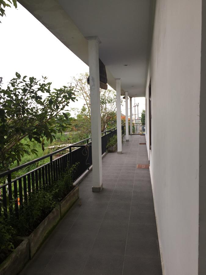 Grass Terrace Homestay Canggu Exteriér fotografie